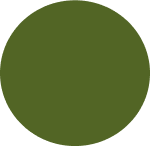 camo_green